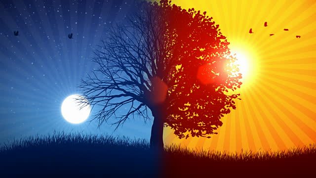 Fakta Tentang Bulan dan Matahari