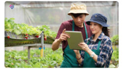 Tips Menjadi Petani sukses