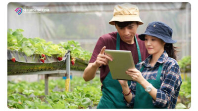 Tips Meningkatkan Produktivitas Pertanian agar Menjadi Petani Muda Sukses