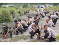 Polda Sulteng tanam 1000 bibit mangrove di Pantai Popa