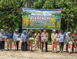 Dukung Progrom Ketahanan Pangan, Polsek Moutong Tanam Jagung Serentak 1 Juta Hektare