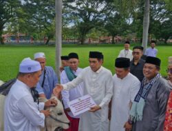 Idul Adha 1446 H, Pemda Parigi Moutong Tebar Kurban di Lima Kecamatan
