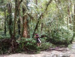 Hutan Lindung di Hulu Sungai Taopa – Lambunu Terancam jadi Lokasi PETI