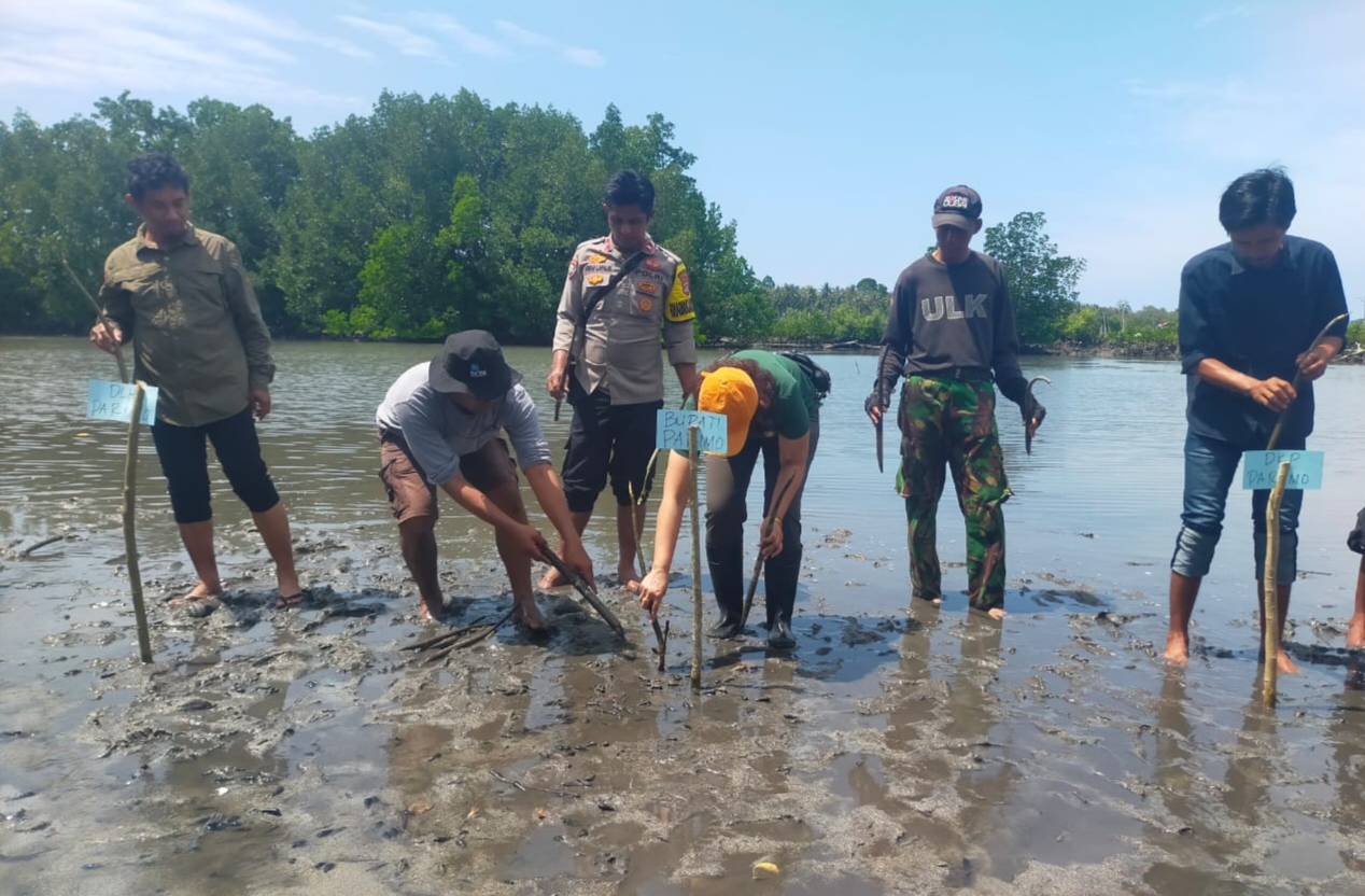 Sebanyak 2.000 bibit mangrove ditanam secara simbolis di kawasan pesisir Pantai Oncone Raya,