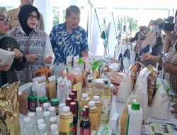 Pasar Tematik Parigi Moutong Resmi Diresmikan Wamen Koperasi UKM RI