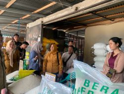 Didampingi Wabup, Direktur Bapanas Tinjau Mutu Beras Bantuan Pangan di Parimo